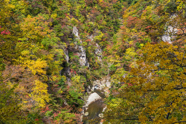 Similar image 13150362