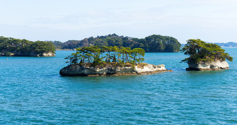 Similar image 13149528