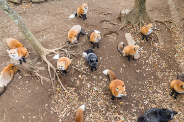 Similar image 13149731