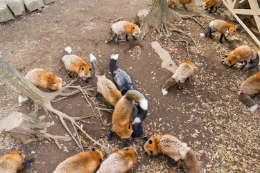 Similar image 13149771