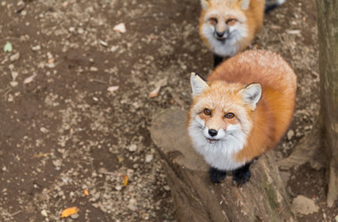 Similar image 13149849