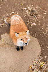 Similar image 13149869