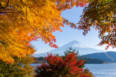 Similar image 13150108