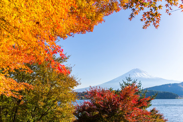 Similar image 13150126