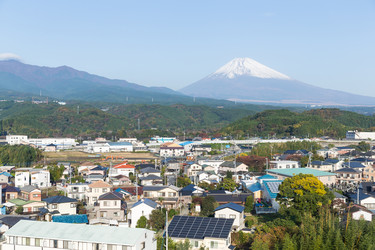 Similar image 13150323