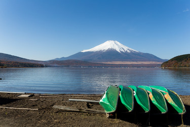 Similar image 13150383