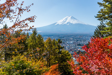 Similar image 13150712