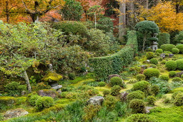 Similar image 13149452