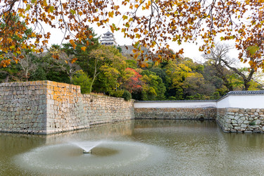 Similar image 13149890