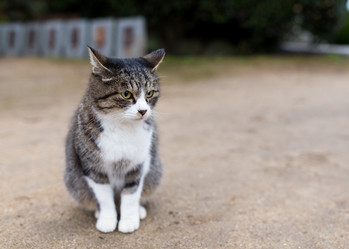 Similar image 13149971