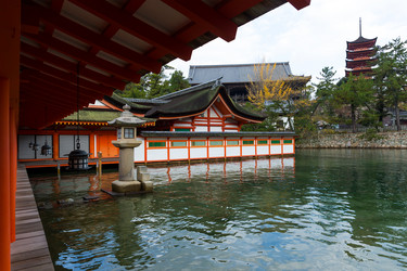 Similar image 13150029