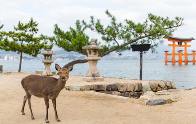 Similar image 13150128