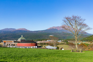 Similar image 13150807