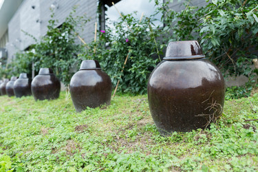 Similar image 13150830