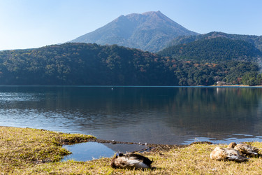 Similar image 13150868