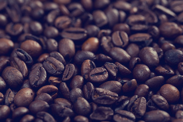 Similar image 13150188