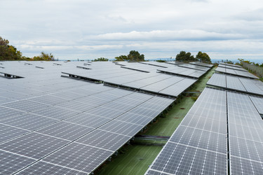 Similar image 13149474