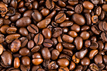 Similar image 13149634