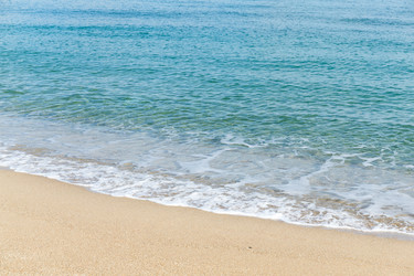 Similar image 13149654