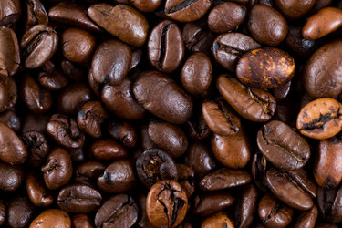 Similar image 13150211