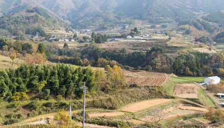 Similar image 13150425