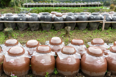 Similar image 13150811