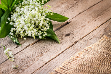 Similar image 13149071