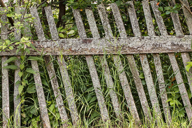 Similar image 13149091