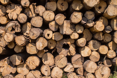 Similar image 13149093