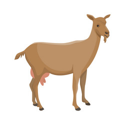 Similar image 13164474