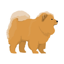 Similar image 13164481