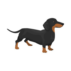 Similar image 13164482