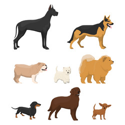 Similar image 13164527