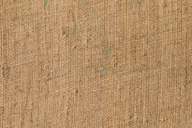 Similar image 13149111