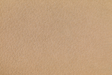 Similar image 13149116