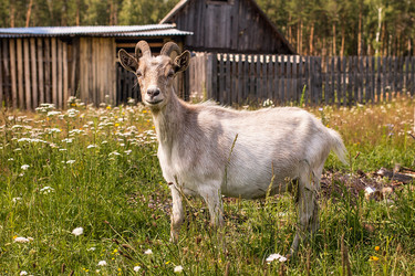 Similar image 13149128