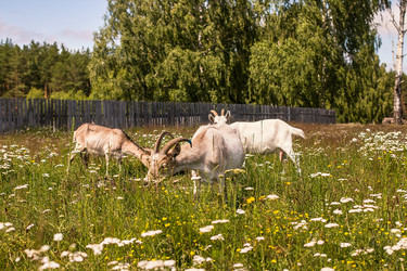 Similar image 13149129