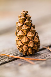 Similar image 13149130