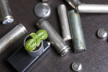 Similar image 13149268