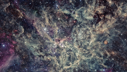 Similar image 13166765