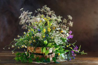 Similar image 13155473