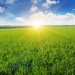 Similar image 13152574