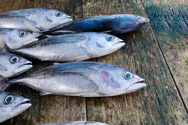 Similar image 13152580