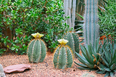 Similar image 13152604