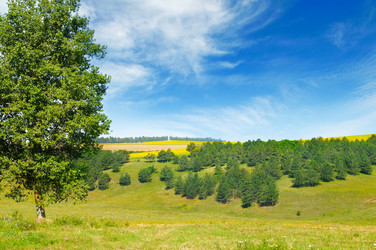 Similar image 13152608