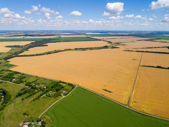 Similar image 13162052