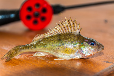 Similar image 13158420