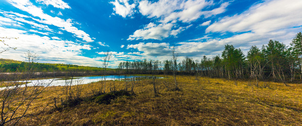 Similar image 13173900