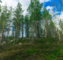 Similar image 13173980