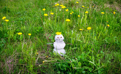 Similar image 13174059